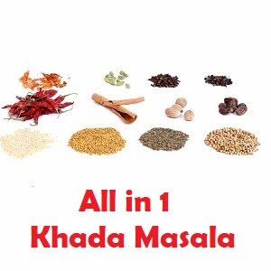 Garam Masala - All in 1